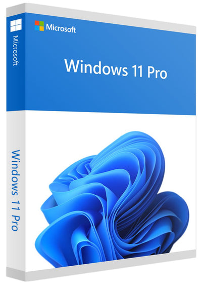 Windows 11 Professional digital licence artwork